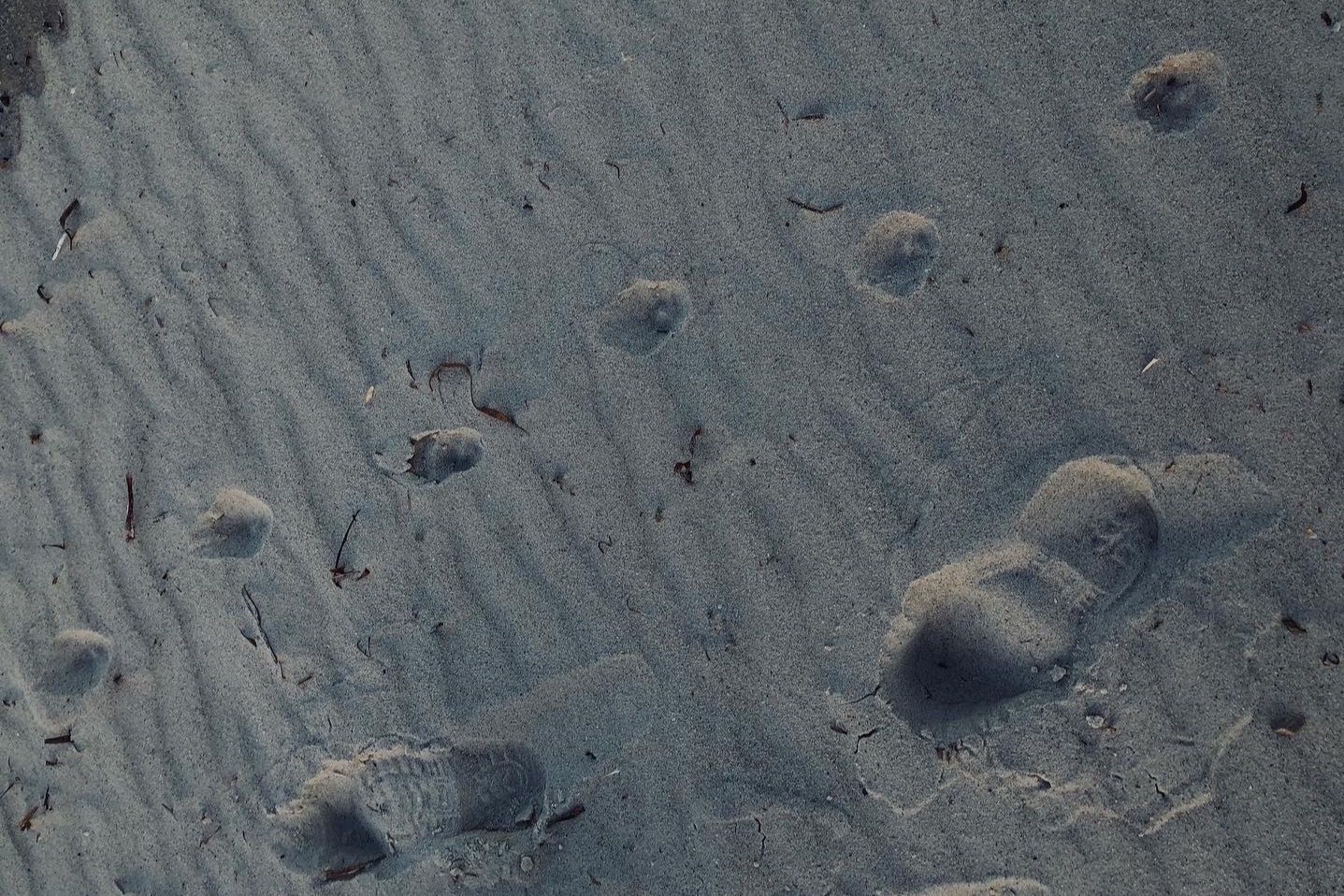 Traces de pas sur la plage